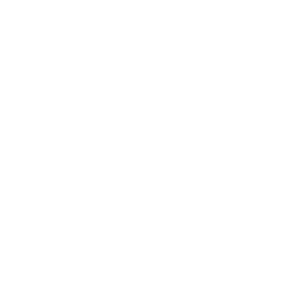 Carrefour logo