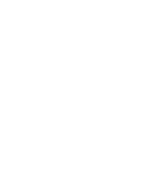 maestro